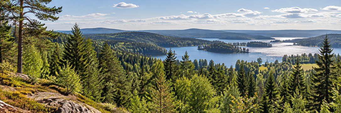 Panoramavy över skog och sjöar liten